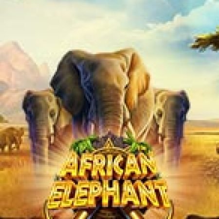 Voi Rừng Châu Phi – African Elephant Slot: Vòng Quay May Mắn Mang Lại Vận May Cho Bạn