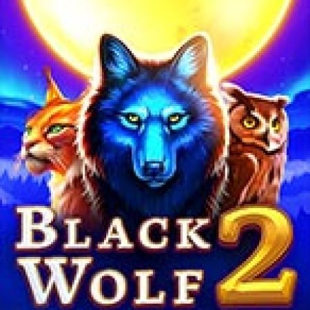 Hướng Dẫn Chơi Black Wolf 2 Slot Cho Người Mới Bắt Đầu