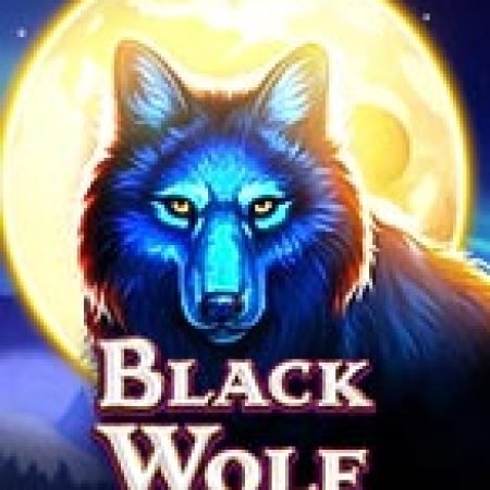 Hướng Dẫn Chơi Black Wolf Slot Cho Người Mới Bắt Đầu