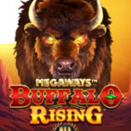 Hướng Dẫn Chơi Buffalo Rising Megaways All Action Slot Cho Người Mới Bắt Đầu