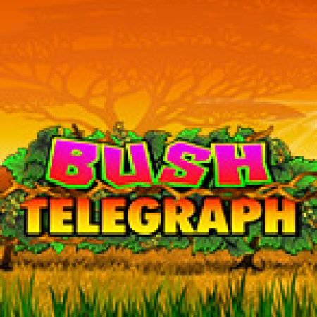 Chơi Xứ Nhiệt Đới Bush – Bush Telegraph Slot Miễn Phí: Tận Hưởng Khoảnh Khắc Vui Nhộn