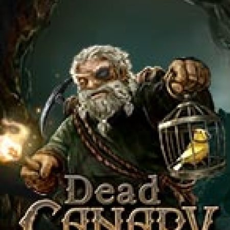 Hướng Dẫn Chơi Chết Chóc – Dead Canary Slot Cho Người Mới Bắt Đầu