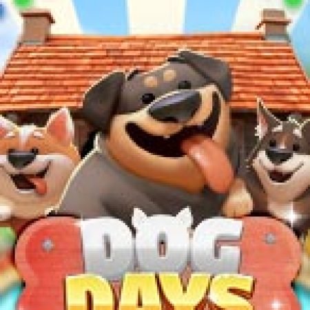 Chơi Dog Days Slot Miễn Phí: Tận Hưởng Khoảnh Khắc Vui Nhộn