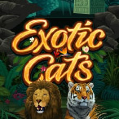 Chơi Chúa Sơn Lâm – Exotic Cats Slot Miễn Phí: Tận Hưởng Khoảnh Khắc Vui Nhộn