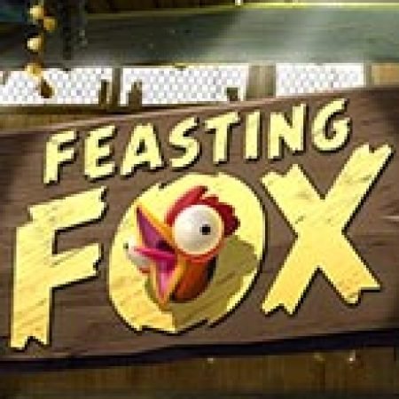 Hướng Dẫn Chơi Feasting Fox Slot Cho Người Mới Bắt Đầu