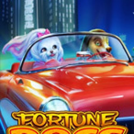 Hướng Dẫn Chơi Fortune Dogs Slot Cho Người Mới Bắt Đầu