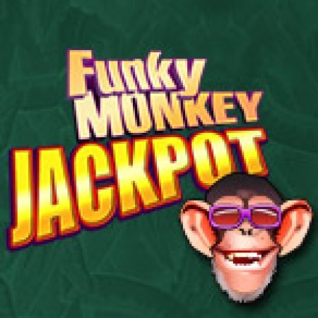 Hướng Dẫn Chơi Funky Monkey Jackpot Slot Cho Người Mới Bắt Đầu