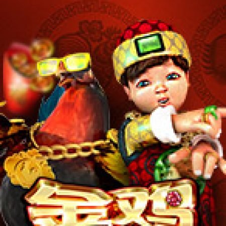 Hướng Dẫn Chơi Golden Chicken Slot Cho Người Mới Bắt Đầu