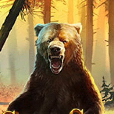 Hướng Dẫn Chơi Grizzly Gold Slot Cho Người Mới Bắt Đầu