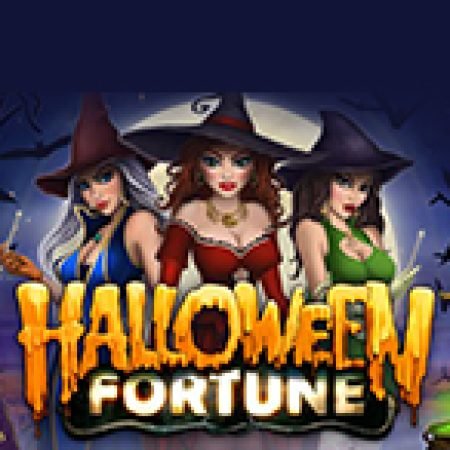 Hướng Dẫn Chơi Halloween Fortune Slot Cho Người Mới Bắt Đầu