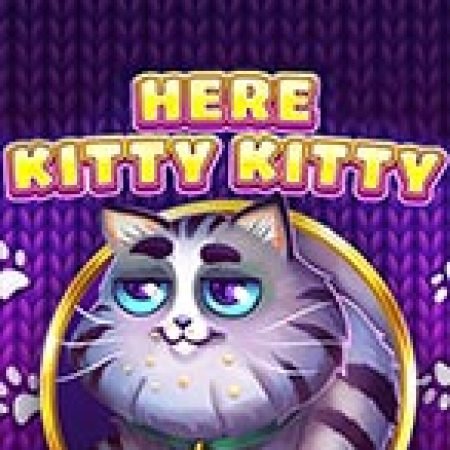 Mèo Con Ngỗ Ngược – Here Kitty Kitty Slot – Trò Chơi Slot Dành Cho Cả Gia Đình