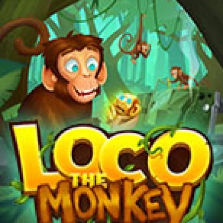 Hướng Dẫn Chơi Loco the Monkey Slot Cho Người Mới Bắt Đầu