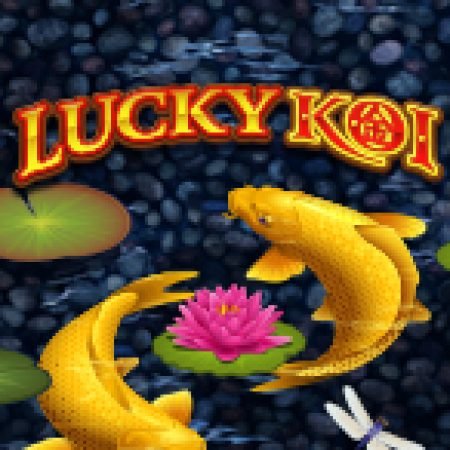 Cá Koi Thần – Lucky Koi Slot – Trò Chơi Slot Dành Cho Cả Gia Đình