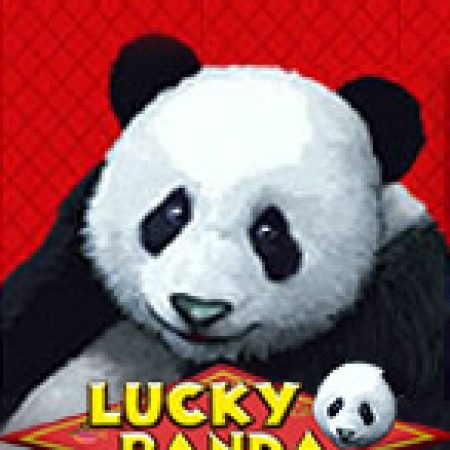 Hướng Dẫn Chơi Lucky Panda Slot Cho Người Mới Bắt Đầu