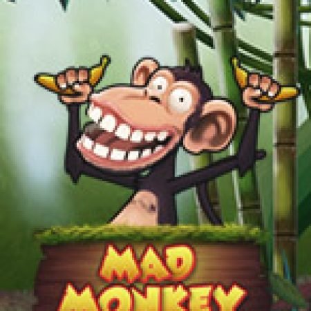 Hướng Dẫn Chơi Mad Monkey Slot Cho Người Mới Bắt Đầu