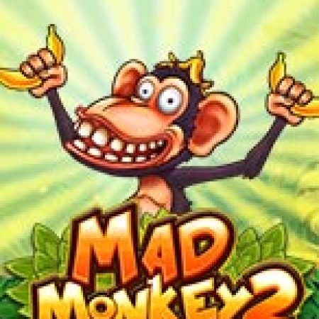 Mad Monkey 2 Slot: Vòng Quay May Mắn Mang Lại Vận May Cho Bạn