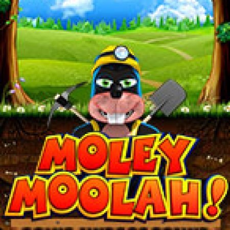 Moley Moolah Slot: Vòng Quay May Mắn Mang Lại Vận May Cho Bạn