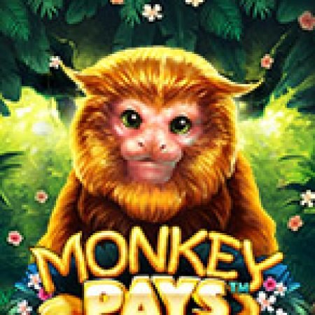 Monkey Pays Slot: Vòng Quay May Mắn Mang Lại Vận May Cho Bạn