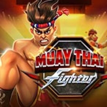 Hướng Dẫn Chơi Muay Thai Fighter Slot Cho Người Mới Bắt Đầu