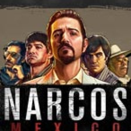 Hướng Dẫn Chơi Giang Hồ Mexico – Narcos Mexico Slot Cho Người Mới Bắt Đầu