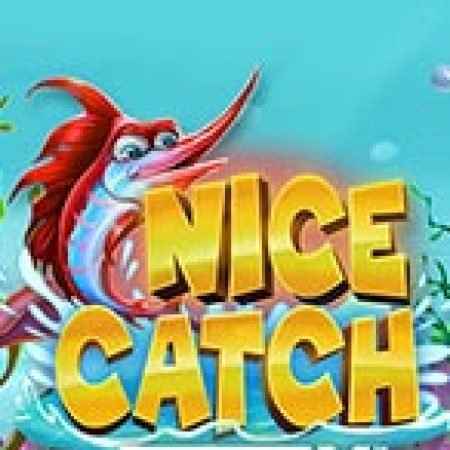 Hướng Dẫn Chơi Nice Catch Doublemax Slot Cho Người Mới Bắt Đầu