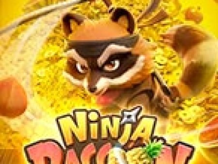Ninja Gấu Mèo – Ninja Raccoon Frenzy Slot: Vòng Quay May Mắn Mang Lại Vận May Cho Bạn