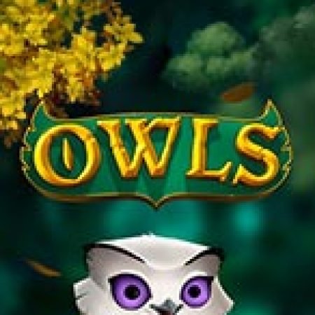 Hướng Dẫn Chơi Cú Đêm – Owls Slot Cho Người Mới Bắt Đầu