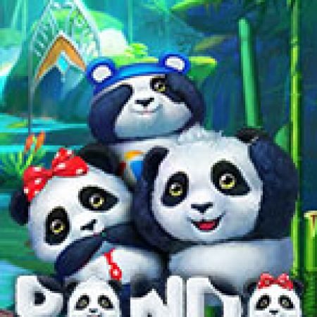 Hướng Dẫn Chơi Panda Slot Cho Người Mới Bắt Đầu