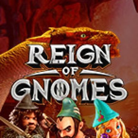 Hướng Dẫn Chơi Reign of Gnomes Slot Cho Người Mới Bắt Đầu