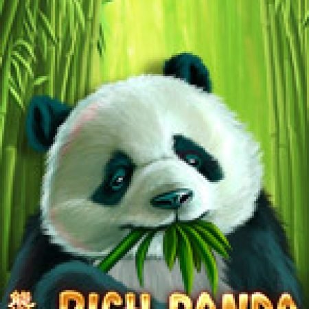 Rich Panda Slot – Trò Chơi Slot Dành Cho Cả Gia Đình