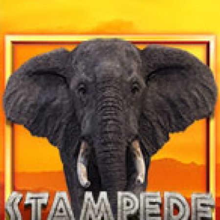 Chơi Stampede Slot Miễn Phí: Tận Hưởng Khoảnh Khắc Vui Nhộn