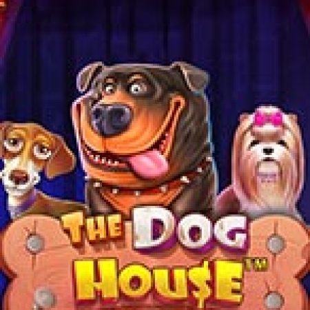 Trải Nghiệm Siêu Hấp Dẫn Cùng Xiếc Thú – The Dog House Dice Show Slot