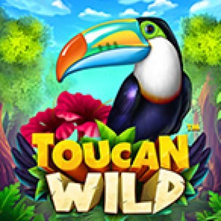 Hướng Dẫn Chơi Toucan Wild Slot Cho Người Mới Bắt Đầu