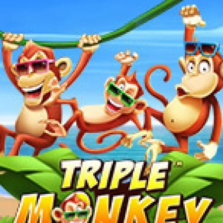 Triple Monkey Slot – Trò Chơi Slot Dành Cho Cả Gia Đình