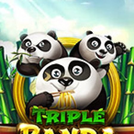 Vòng Quay Ma Thuật Của Triple Panda Slot: Chơi Thử Miễn Phí Ngay