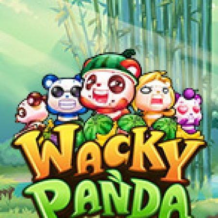 Hướng Dẫn Chơi Gấu Trúc Wacky – Wacky Panda Slot Cho Người Mới Bắt Đầu