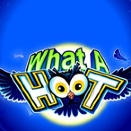 Đêm Cú Vọ – What A Hoot Slot – Trò Chơi Slot Dành Cho Cả Gia Đình