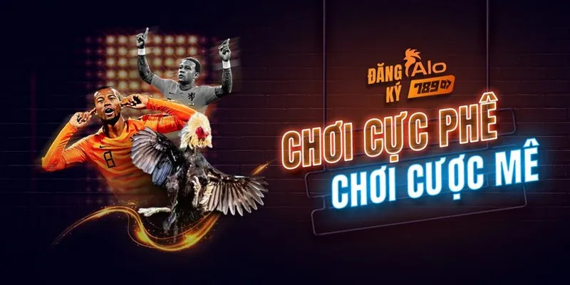 Các dịch vụ chính của Alo789